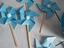 Immagine 5