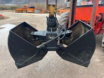 Benna mordente bivalve