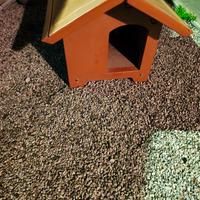casetta per cane