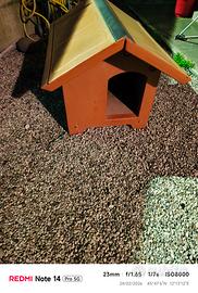 casetta per cane