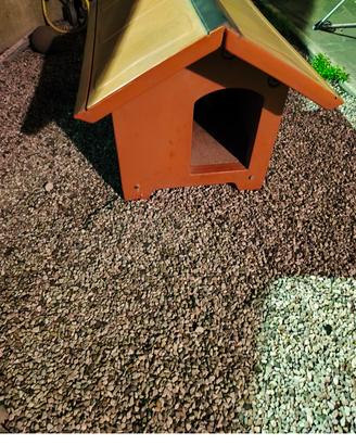 casetta per cane