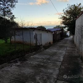 Terreni e Fabbricati Taureana di Palmi