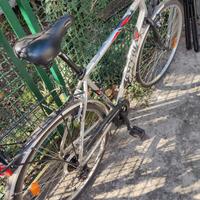 bicicletta uomo 