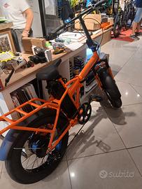 bici elettrica 