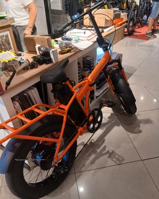 bici elettrica 