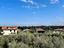 Immagine 23