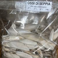 Ossi di Seppia