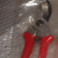 Forbici per potatura