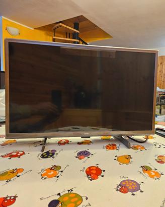 Smart Tv 24 pollici