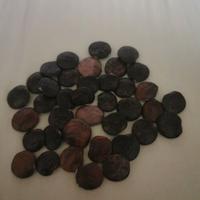 semi di glicine, lauroceraso alloro cipresso