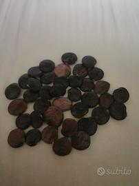 semi di glicine, lauroceraso alloro cipresso