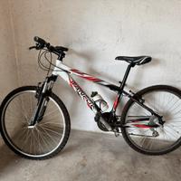 Mountain bike