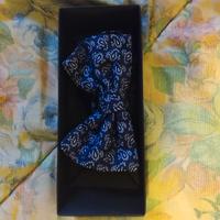 Papillon in 100% seta Paolo Da Ponte