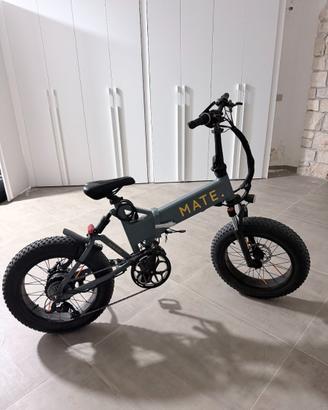 Bici Elettrica Mate X 750 watt