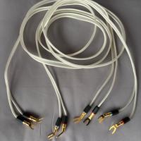 Cavo audio di potenza Van Den Hul Clearwater