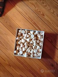 tappi sughero 100 pezzi