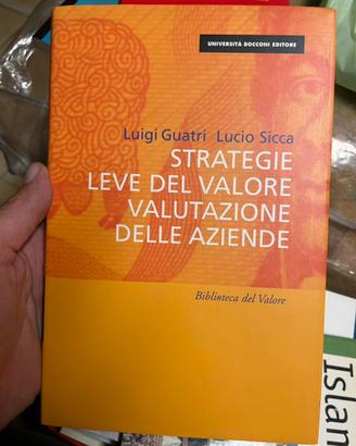 Strategie leve del valore valutazione del aziende