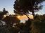 Immagine 13