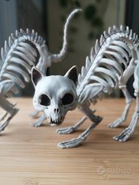 coppia di gatti scheletro 