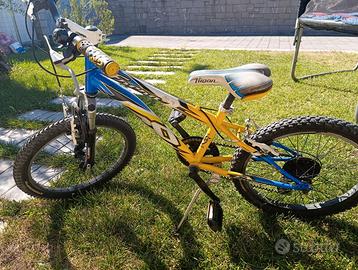 Bicicletta
