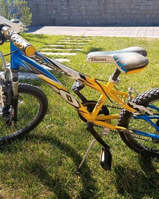 Bicicletta