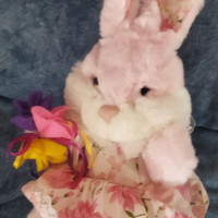 Coniglietta di peluche