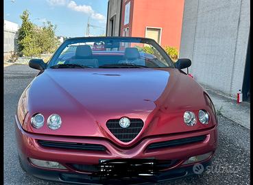 Alfa spider