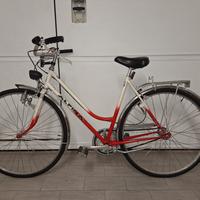 Bicicletta Alpina