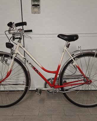 Bicicletta Alpina