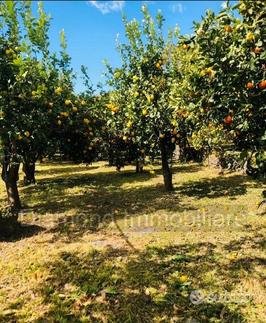 Terreno agricolo e deposito Fiumefreddo di Sicilia - Vista 2