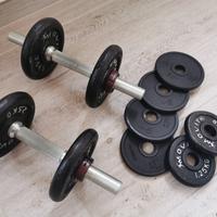 Set manubri + pesi