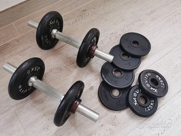 Set manubri + pesi