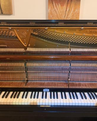 Bechstein mod 8