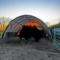 Capannina tettoia copertura