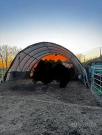 Capannina tettoia copertura