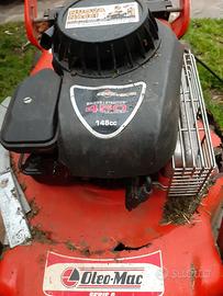 motore briggs & stratton 450  