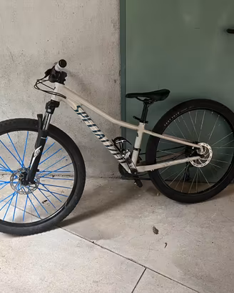 bicicletta specialized