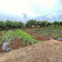 Rif.B0719| area edificabile siracusa