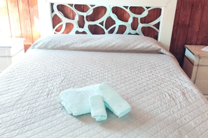 VILL LA GIUSY camera immersa nella natura