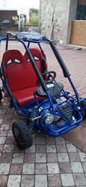 Quod Buggy Triton benzina