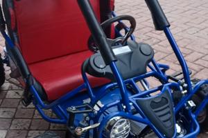 Quod Buggy Triton benzina
