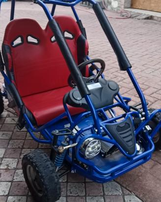 Quod Buggy Triton benzina