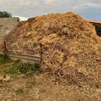 Letame di cavallo e asino