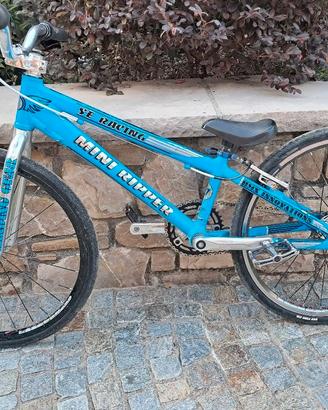 BMX mini ripper