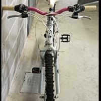 Mountain bike Atala e Decathlon