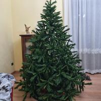 albero di natale e rispettivi addobbi