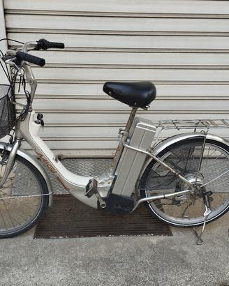 Bici elettrica 
