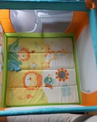 box giordani jungle 