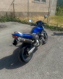 Honda Hornet 600