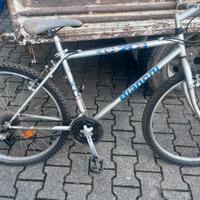 Bici bianchi